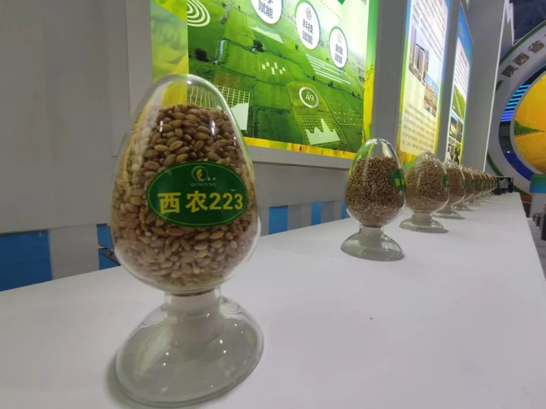 微信圖片_20220916094308 微信圖片_20220916094308