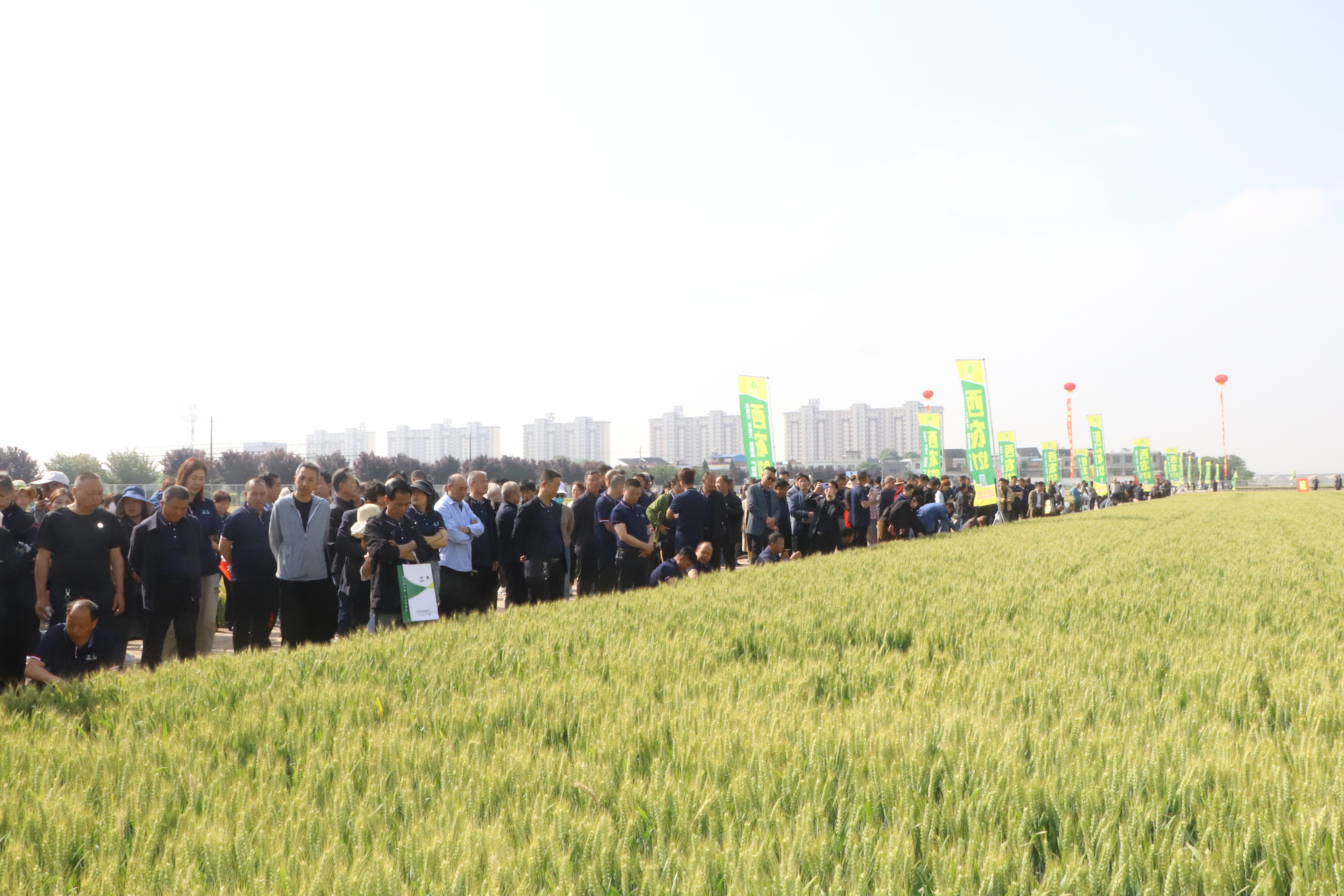 微信圖片_20230529084108 微信圖片_20230529084108